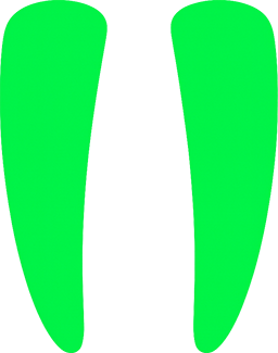 IP Walrus logo - Click to toggle between dark and light themes