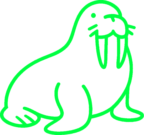 Walrus